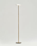 Sky LED Floor Lamp
