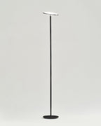 Sky LED Floor Lamp