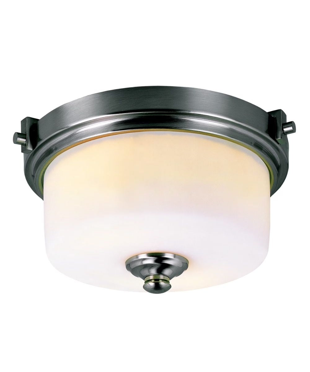Frosted Ceiling Lamp
