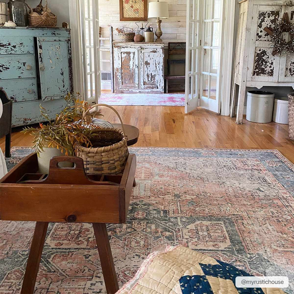 Rosman Distressed Washable Area Rug | Vintage Bohemian Rug – Boutique Rugs