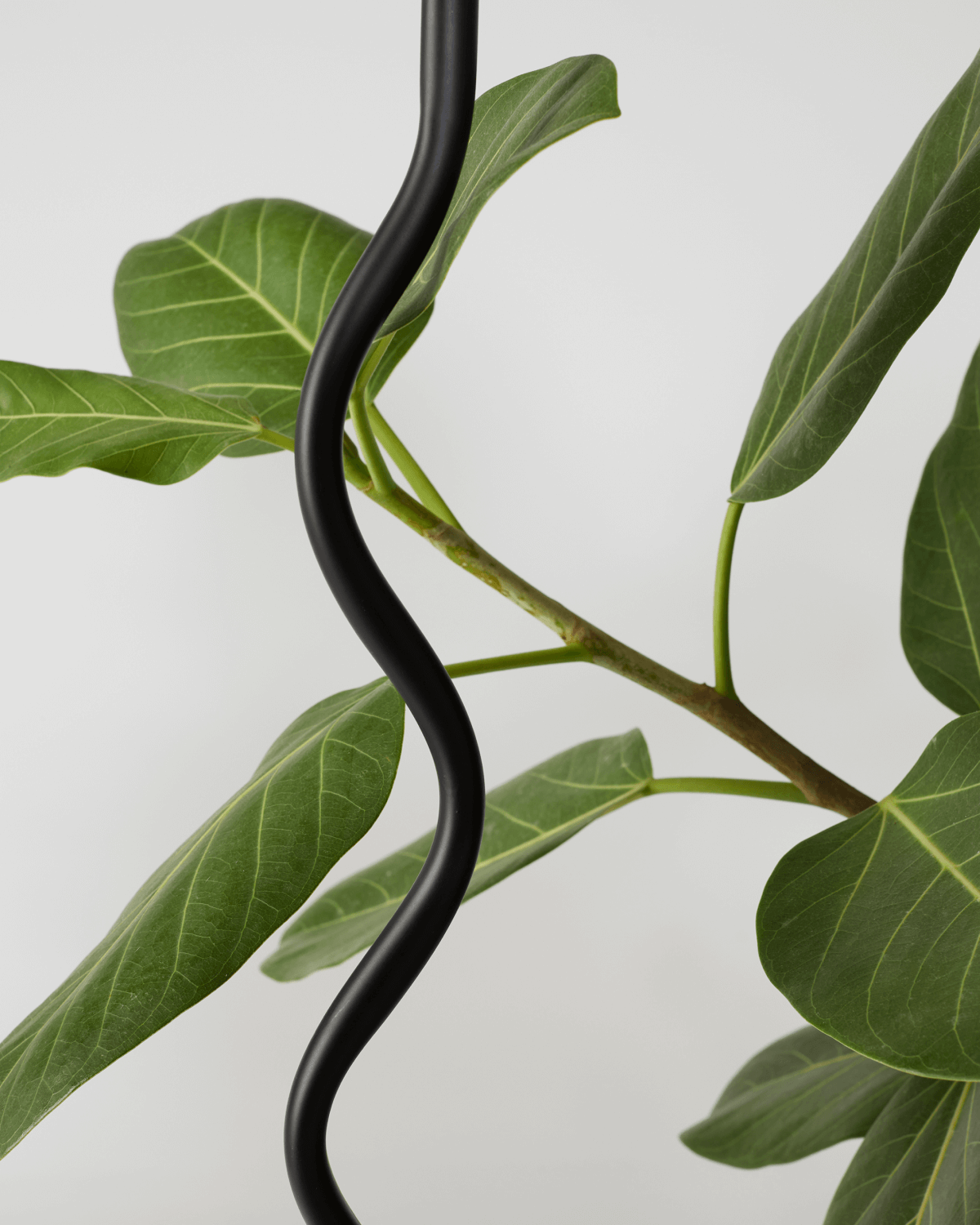 Squiggle Floor Lamp | Curvy Sculptural Floor Lamp – Brightech
