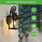 Full Moon Outdoor Wall Light