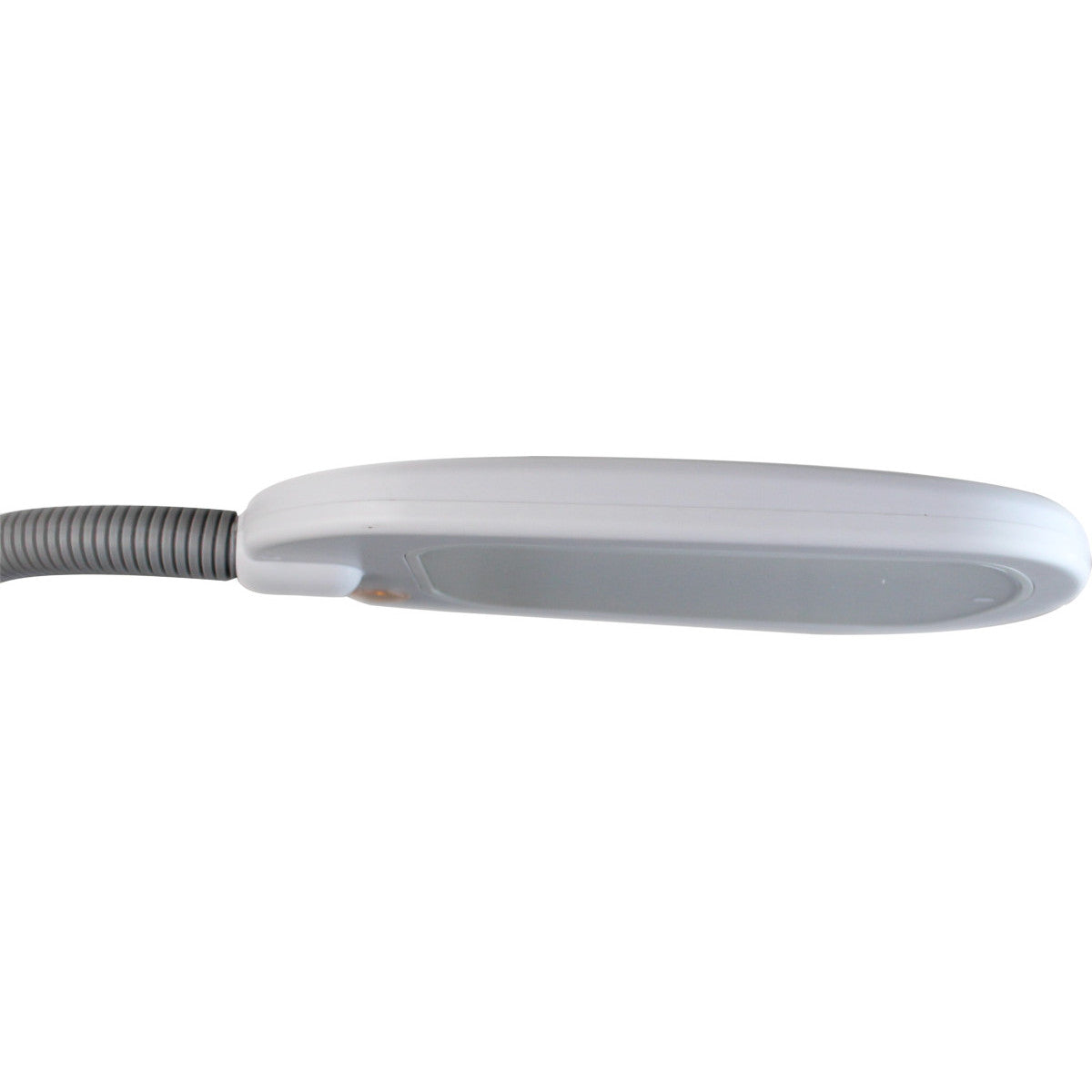 63"H Slim Design LED Reading light