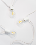 Ambience Globe Plug-in String Lights | Soft White Edison-Style Bulbs