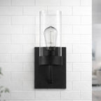 Zephyr Single Light Sconce With Clear Glass Metal