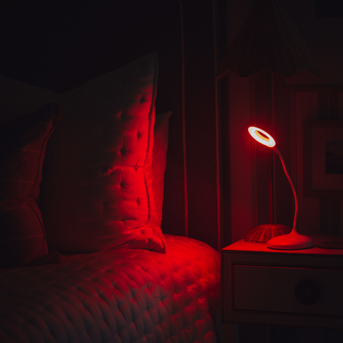 MoonNest Table Lamp