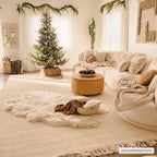 Iantha Tasseled Jute Area Rug