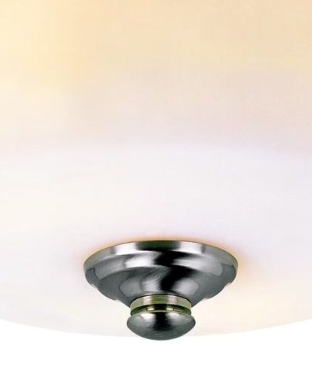 Frosted Ceiling Lamp