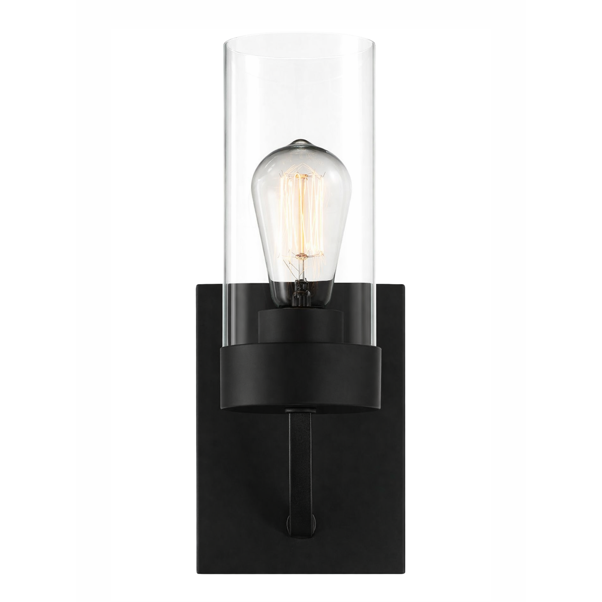 Zephyr Single Light Sconce With Clear Glass Metal