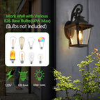 Full Moon Outdoor Wall Light