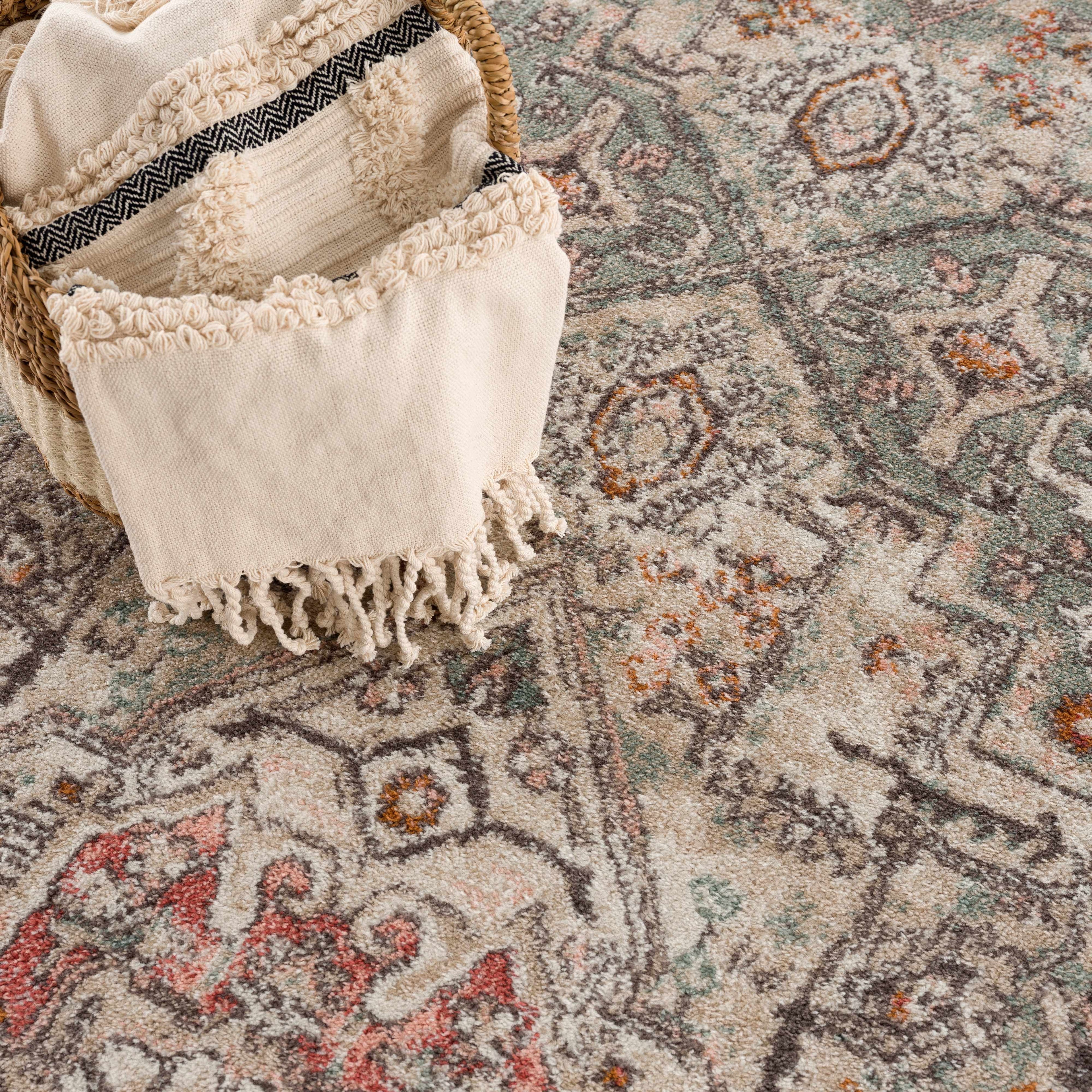 Bolinas Distressed Area Rug | Pink, Red & Blue Tones
