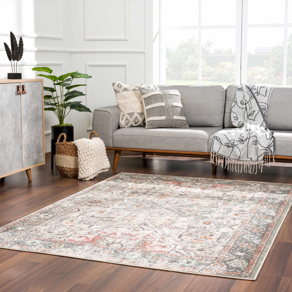 Bolinas Distressed Area Rug | Pink, Red & Blue Tones