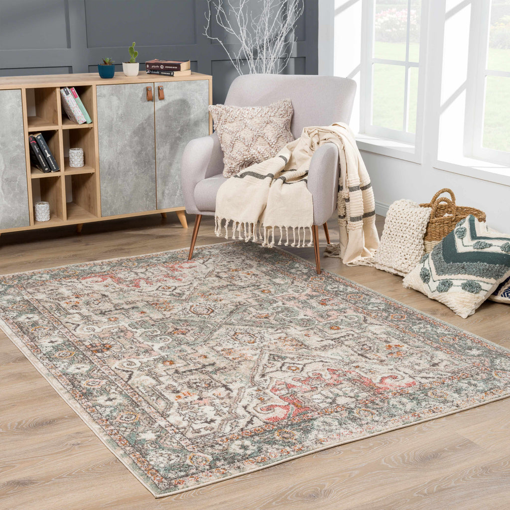 Bolinas Distressed Area Rug | Pink, Red & Blue Tones