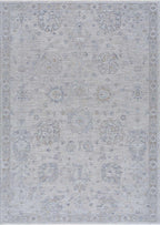 Albuquerque Distressed Area Rug