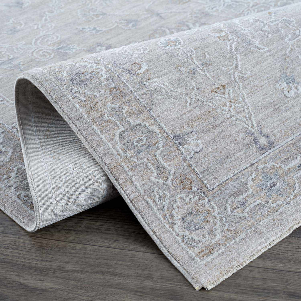 Albuquerque Distressed Area Rug | Beige, Gray & Blue Tones