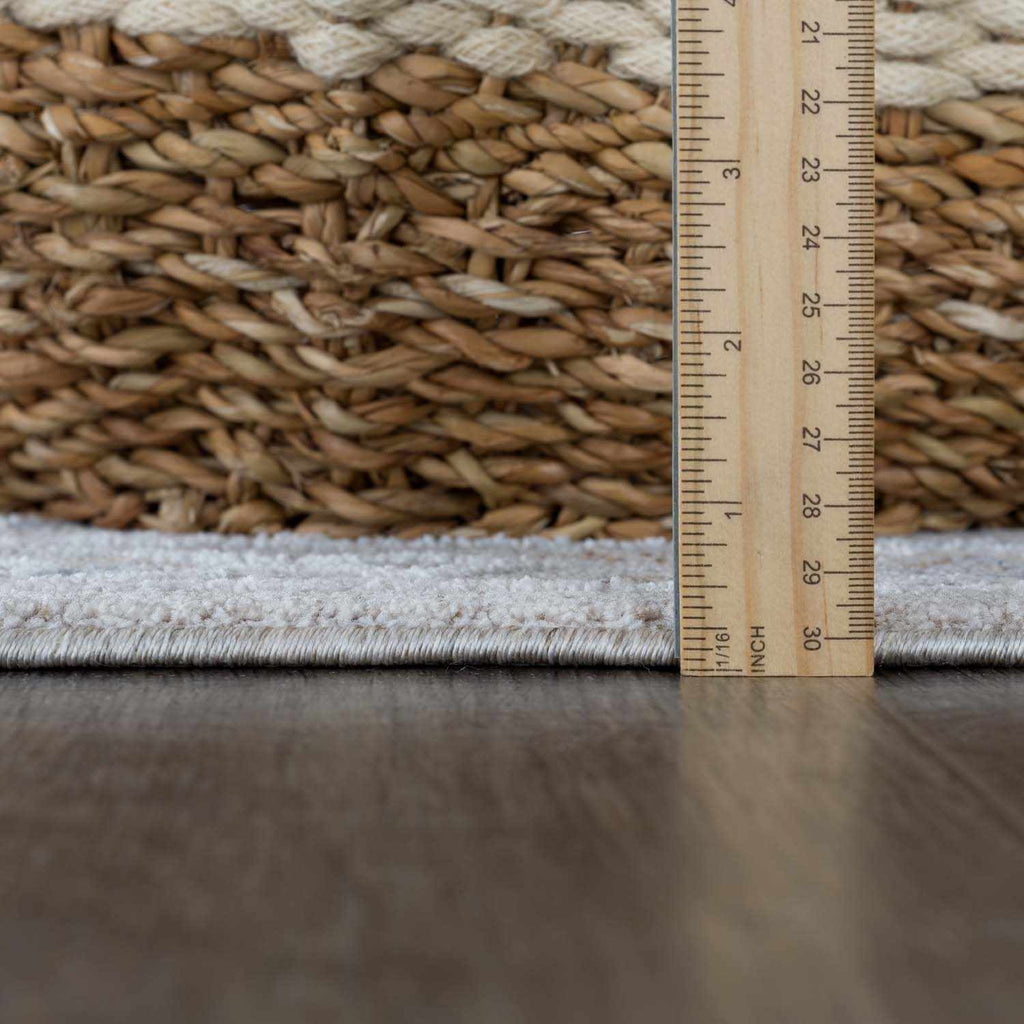 Albuquerque Distressed Area Rug | Beige, Gray & Blue Tones