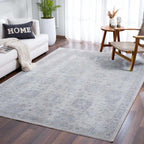 Albuquerque Distressed Area Rug