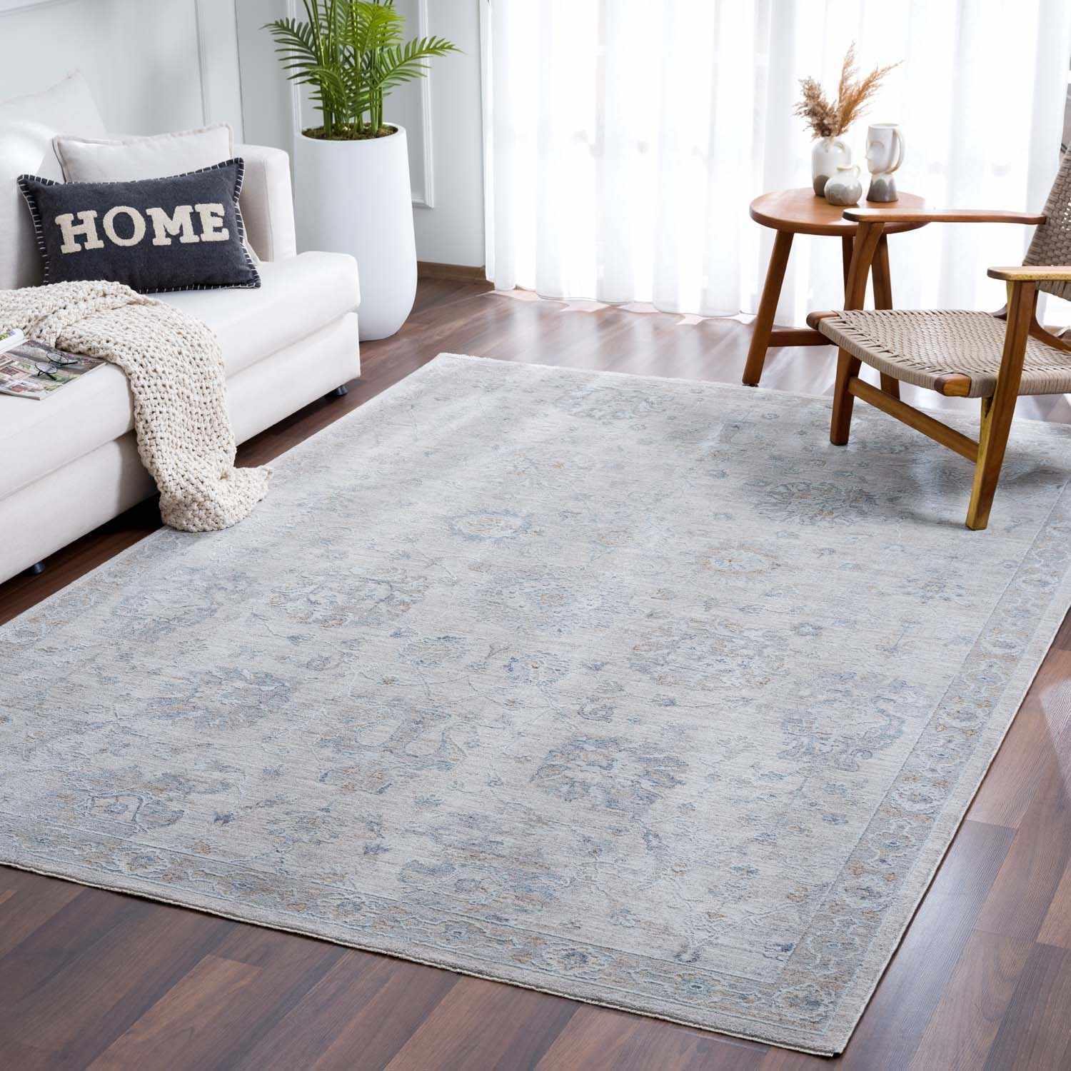 Albuquerque Distressed Area Rug | Beige, Gray & Blue Tones