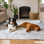 Afya Southwestern Area Rug