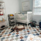 Alie Colorful Area Rug