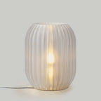 Allium Lamp | Designer Table Lamp
