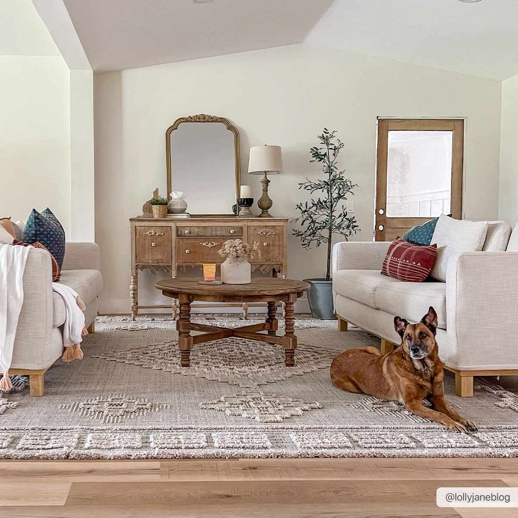 Ampusungan Pile Area Rug