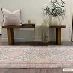 Analu Peach Area Rug
