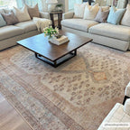 Analu Peach Area Rug
