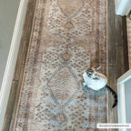 Analu Peach Area Rug