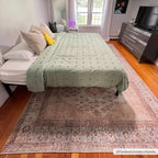 Analu Peach Area Rug