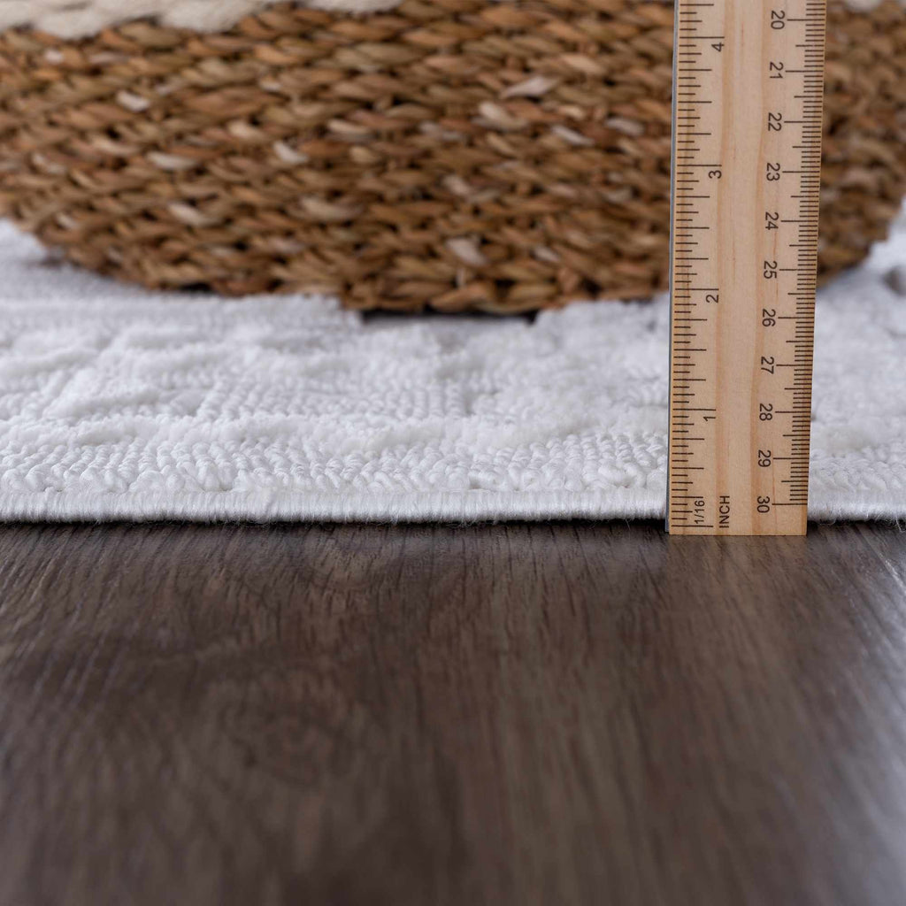 Alya Ivory Fringe Area Rug | Textured Medallion Design – Hauteloom