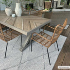 Baqer Indoor/Outdoor Area Rug