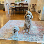 Beck Peach Area Rug