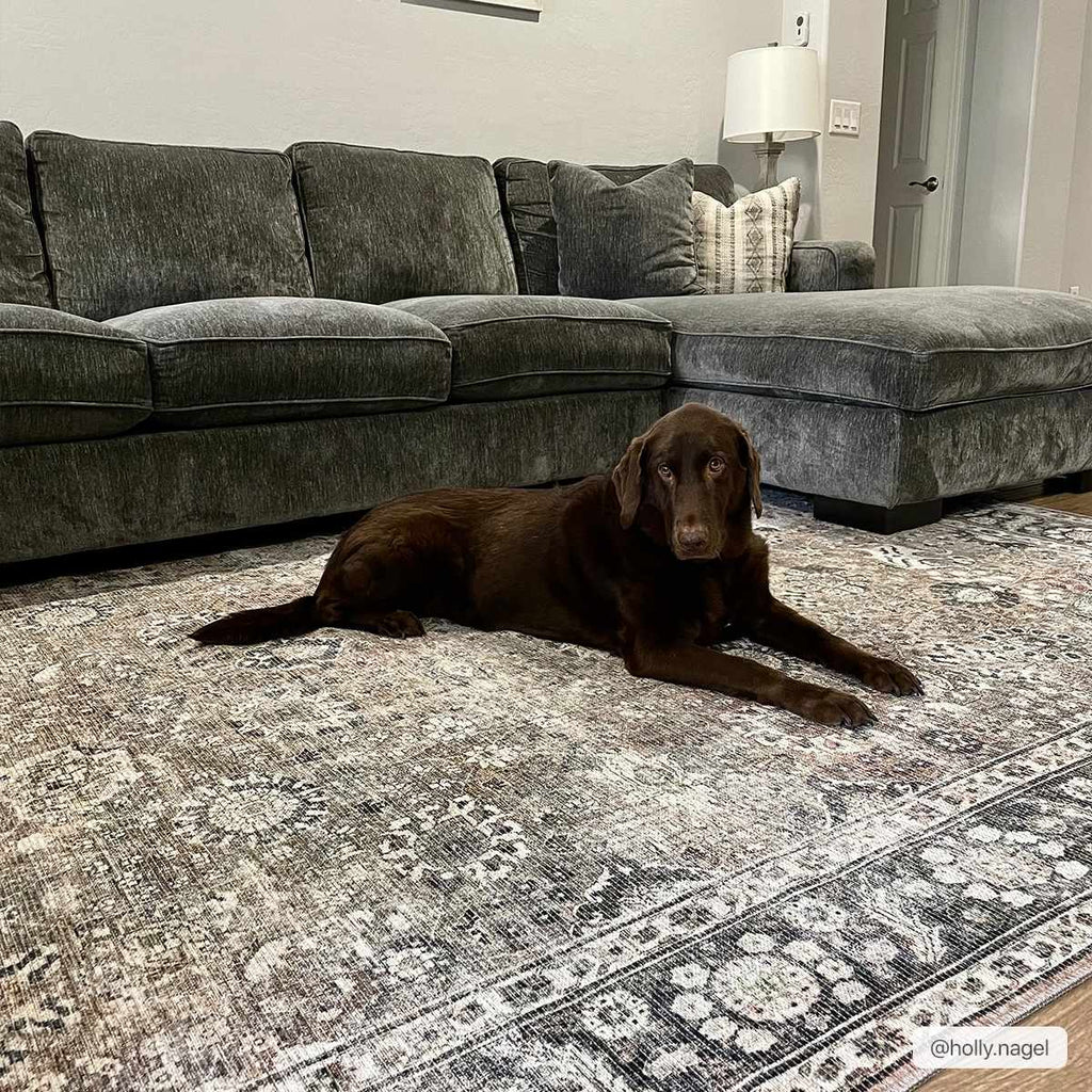 Ganyangan Washable Area Rug | Pet-Friendly Machine Washable Rug – Boutique Rugs