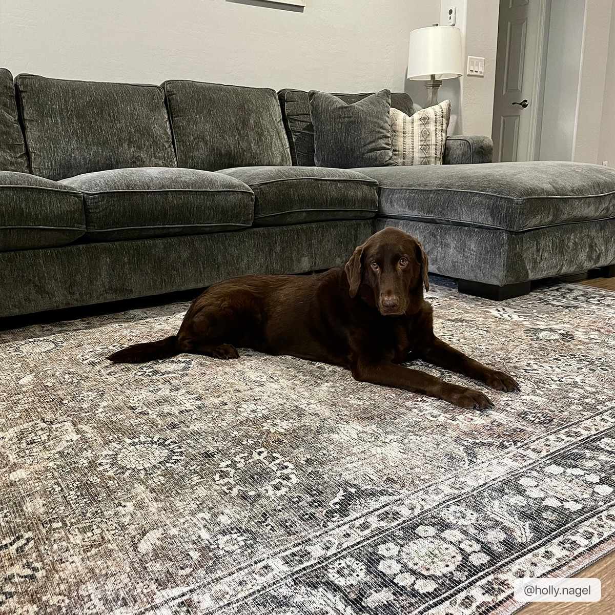 Ganyangan Washable Area Rug | Pet-Friendly Machine Washable Rug – Boutique Rugs