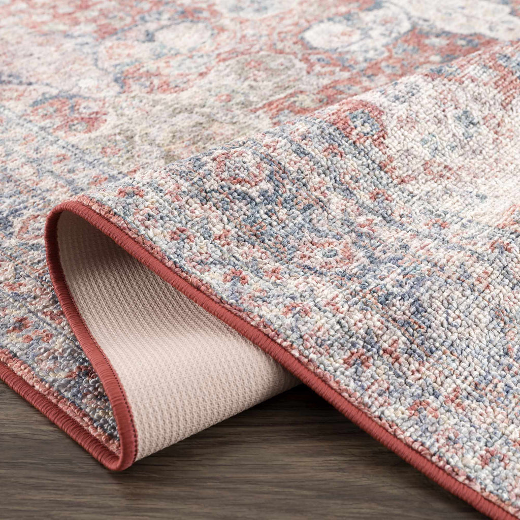 Ambre Washable Area Rug | Distressed Traditional Oriental Design – Hauteloom