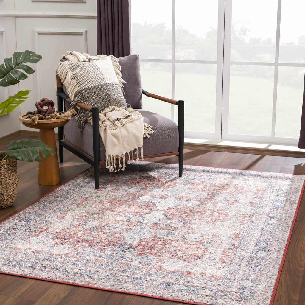 Ambre Washable Area Rug | Distressed Traditional Oriental Design – Hauteloom