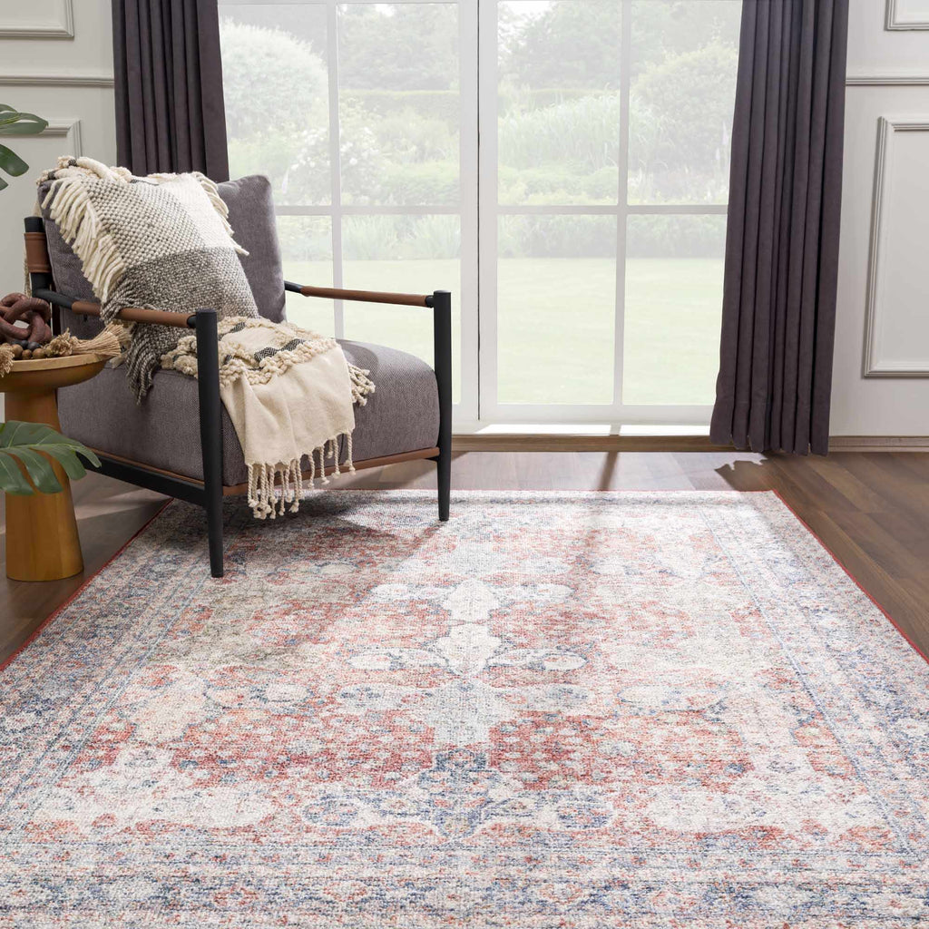 Ambre Washable Area Rug | Distressed Traditional Oriental Design – Hauteloom