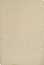 Cezary Jute & Cotton Woven Area Rug
