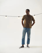 Ambience Pro Solar String Lights