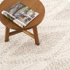 Trunding Light Beige Plush Area Rug
