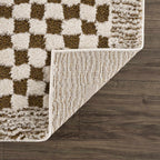Leryn Checkered Area Rug