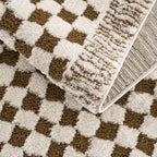 Leryn Checkered Area Rug