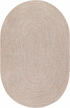 Flaxville Braided Faux Jute Outdoor Rug