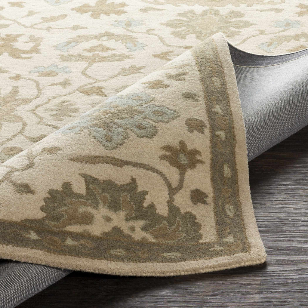 Hazen Hand Tufted Wool Area Rug