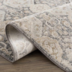 Minoa Traditional Area Rug