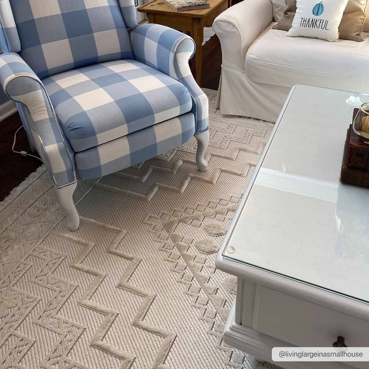 Alya Ivory Fringe Area Rug | Textured Medallion Design – Hauteloom