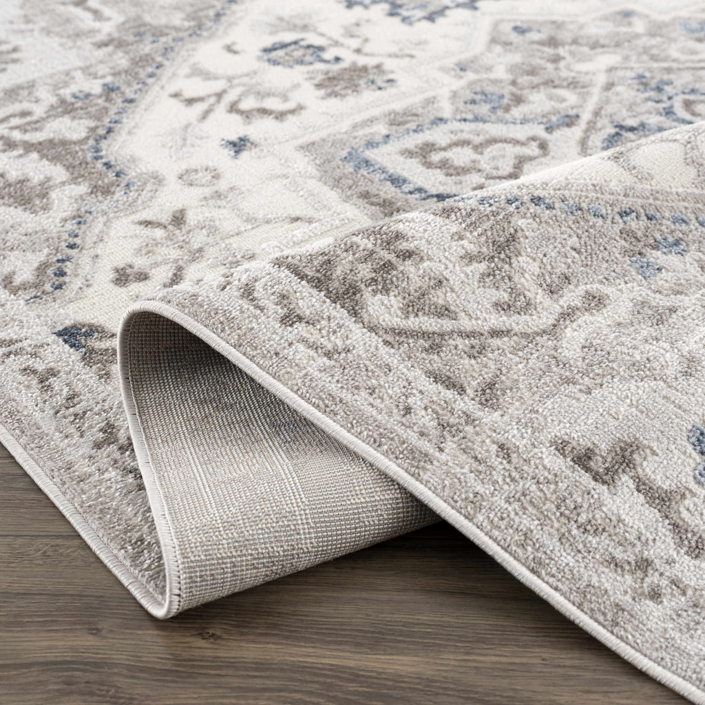 Bakir Medallion Area Rug | Cream, Gray & Beige Tones