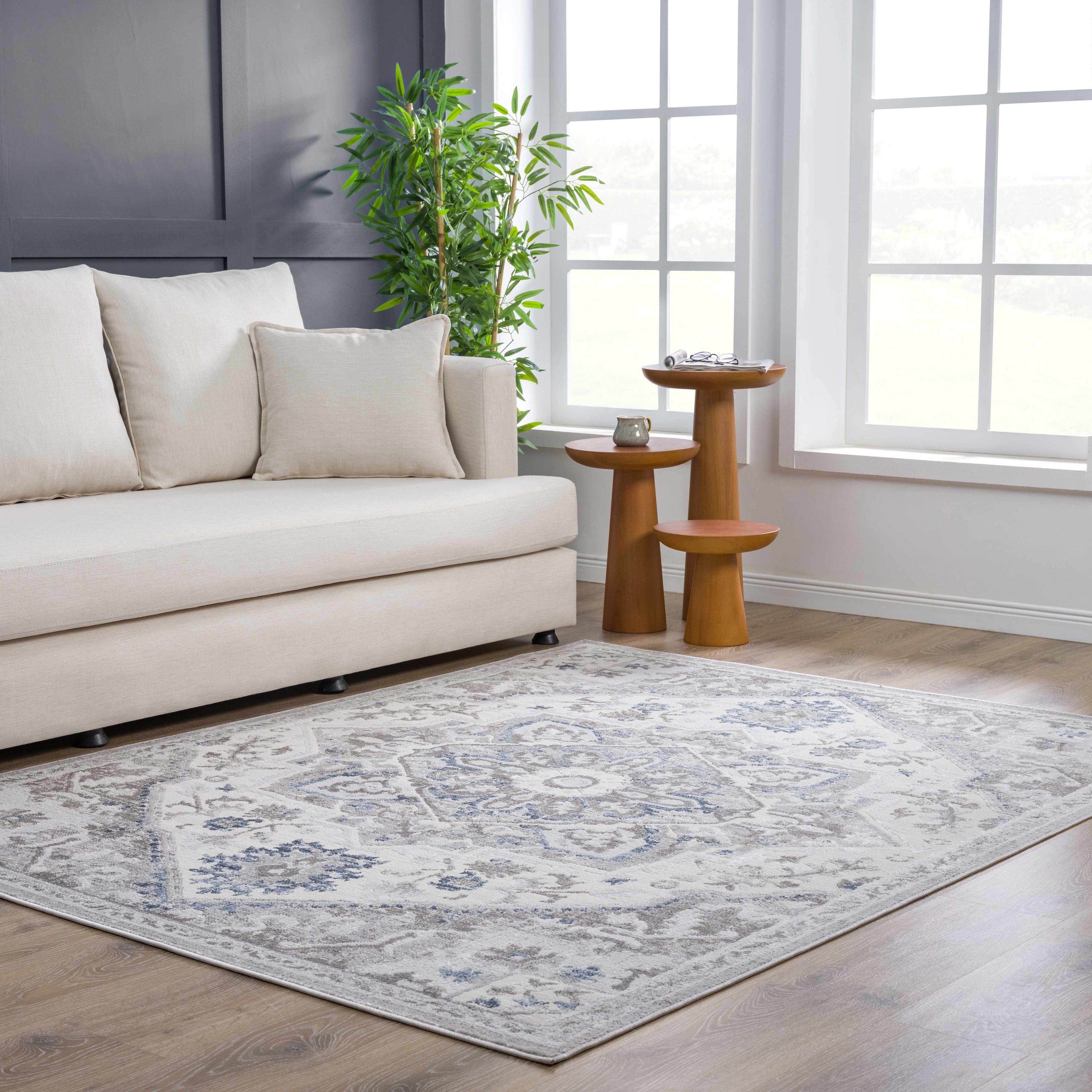 Bakir Medallion Area Rug | Cream, Gray & Beige Tones