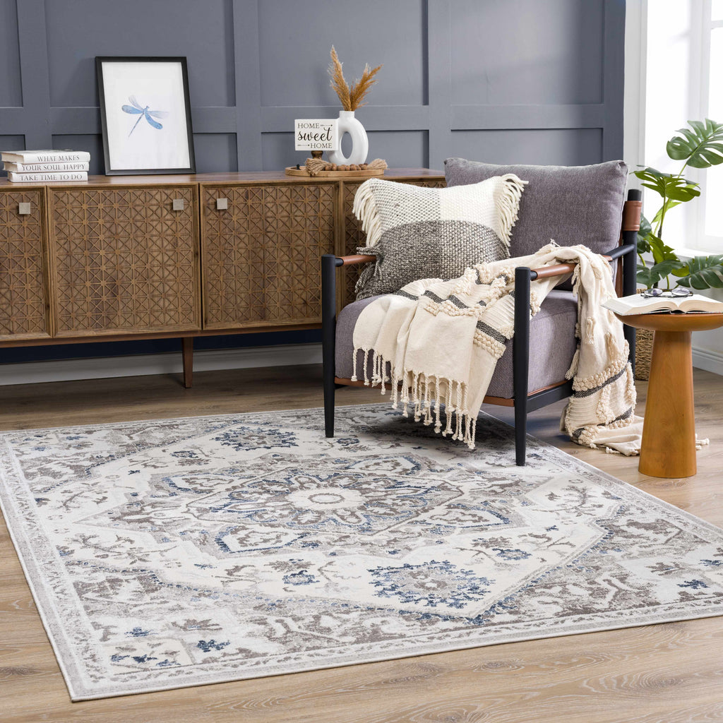 Bakir Medallion Area Rug | Cream, Gray & Beige Tones